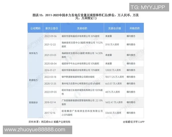 重庆排球队挑战赛点评团队协作表现分析与启示